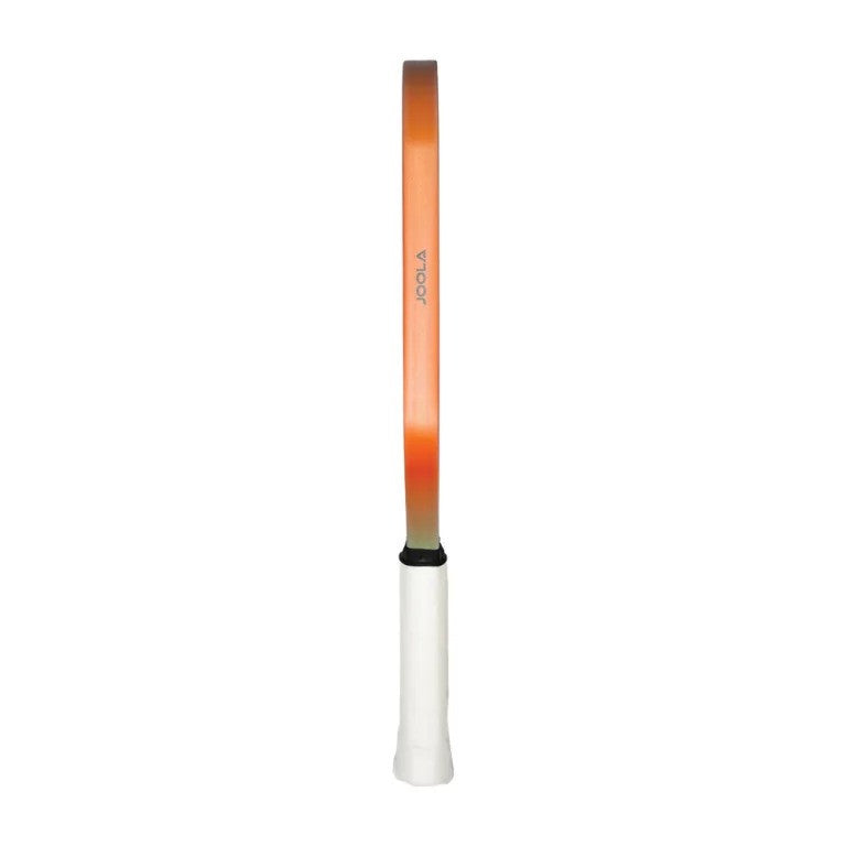 Joola Perseus MODTA-15 Chroma Edition