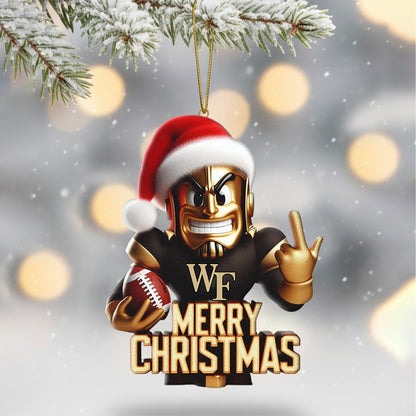 COMBO WFDD CHRISTMAS TREE TOPPER WITH ORNAMENT DAT