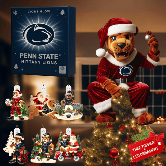 COMBO PSNL CHRISTMAS TREE TOPPER WITH LED ORNAMENT LNTH