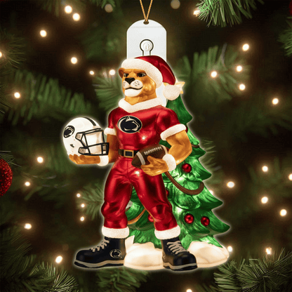 COMBO PSNL CHRISTMAS TREE TOPPER WITH LED ORNAMENT LNTH