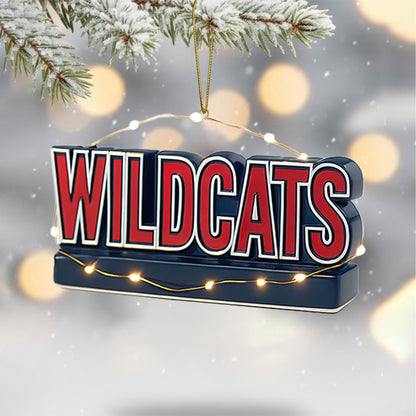 COMBO AWC CHRISTMAS TREE TOPPER WITH ORNAMENT DAT