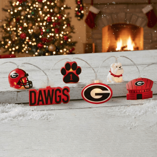 GGBD Premium Christmas Strings Lights HTTT